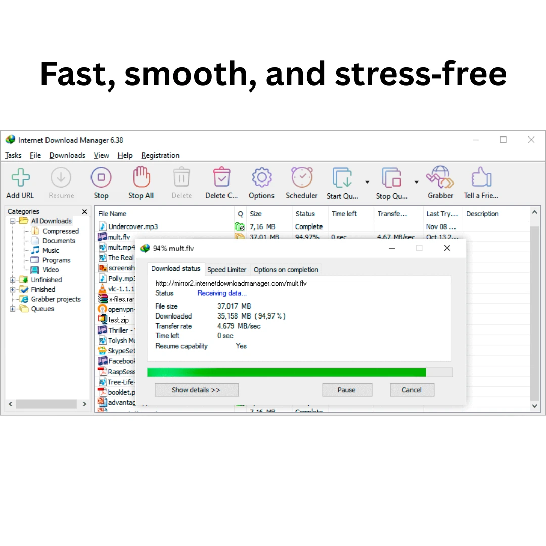 Internet Download Manager — feature 2
